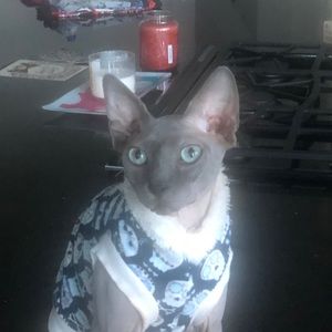 Meet your Posher, Eric